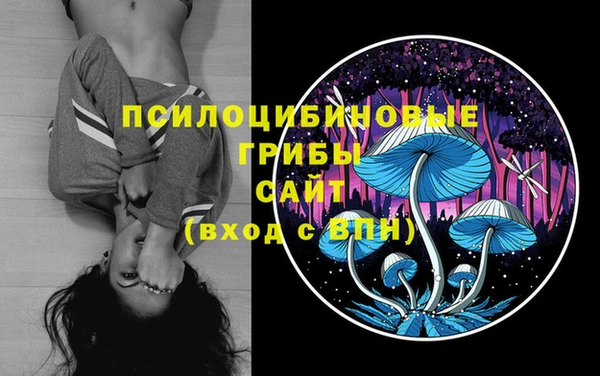 экстази Алексеевка