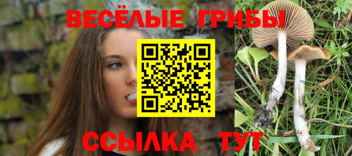 Каменск-Уральский  Псилоцибиновые грибы Cubensis  Вход с VPN 
