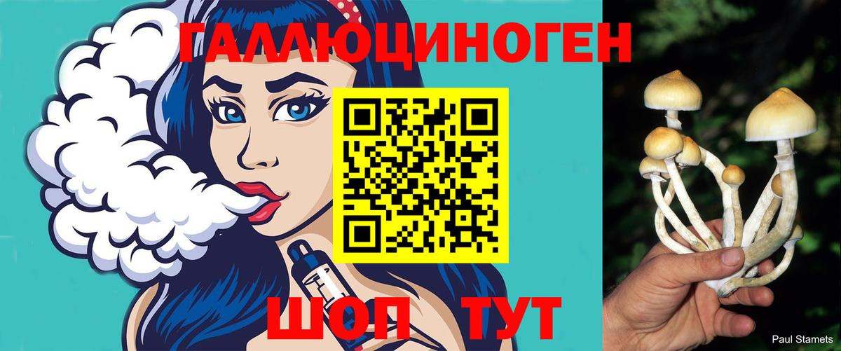Псилоцибиновые грибы ЛСД Каменск-Уральский